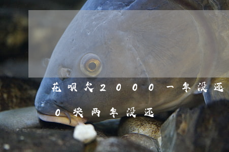 花呗欠2000一年没还的后果(花呗2000块两年没还)
