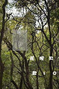 花呗欠2000逾期一年了会怎样-花呗欠款1000元逾期两年不还会怎样?