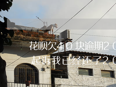 花呗欠40块逾期20天(花呗逾期多少天会起诉,我已经还了200多)