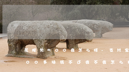 花呗欠500会怎么样-支付宝花呗欠了500多块钱,不还会不会怎么样?