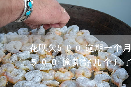 花呗欠500逾期一个月危害大吗-花呗欠500逾期好几个月了会被投诉吗