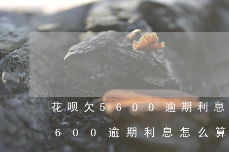 花呗欠5600逾期利息怎么算-花呗欠5600逾期利息怎么算的