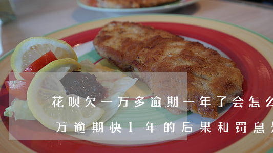 花呗欠一万多逾期一年了会怎么样-花呗1万逾期快1年的后果和罚息是多少