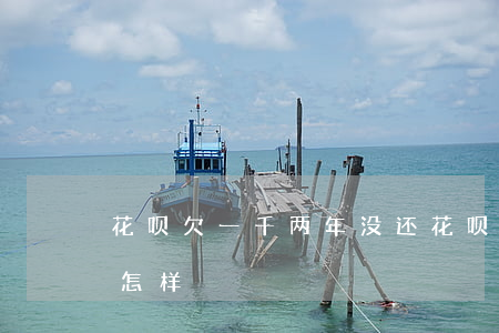 花呗欠一千两年没还(花呗两千多两年没还会怎样)