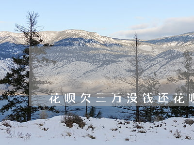 花呗欠三万没钱还(花呗借呗3万还不起)