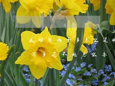 花呗欠两千多怎么还呢(花呗欠二万多借呗二万多还不起怎么办)