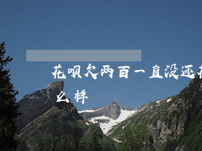 花呗欠两百一直没还(花呗欠两百块不还会怎么样)