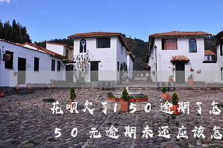 花呗欠了150逾期了怎么办呢，花呗欠款150元逾期未还，应该怎样处理？