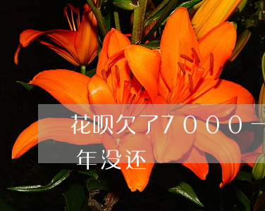 花呗欠了7000一年没还(花呗2000半年没还)