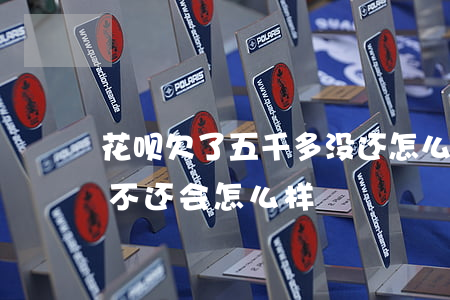 花呗欠了五千多没还怎么办(花呗欠五百块钱不还会怎么样)