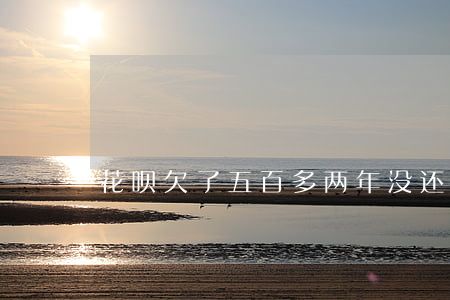 花呗欠了五百多两年没还