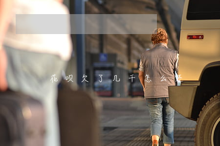 花呗欠了几千怎么还