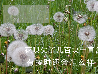 花呗欠了几百块一直没还(花呗欠几百块钱没有按时还会怎么样)