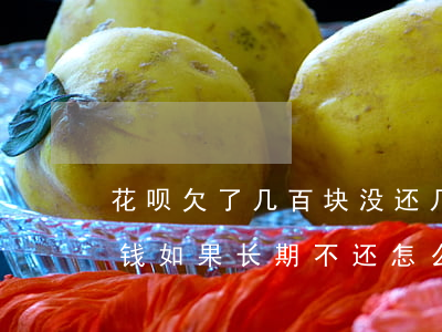 花呗欠了几百块没还几年了(花呗欠了几千块钱如果长期不还怎么样会停)