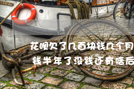 花呗欠了几百块钱几个月再还(花呗欠几千块钱半年了没钱还有啥后果)