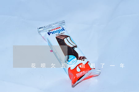 花呗欠五千逾期了一年