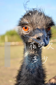 花呗欠五百能分几期还(花呗五百分期每月还多少)