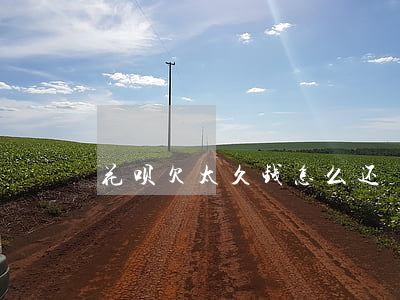 花呗欠太久钱怎么还