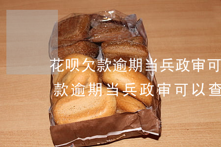 花呗欠款逾期当兵政审可以查到吗-花呗欠款逾期当兵政审可以查到吗知乎