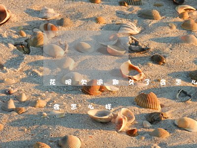 花呗欠逾期久了会怎么样(花呗不还或者逾期会怎么样)