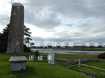 花呗欠钱逾期一年未还款(支付宝花呗逾期没还结果)