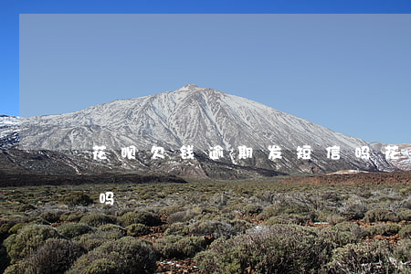 花呗欠钱逾期发短信吗(花呗欠钱逾期发短信吗)
