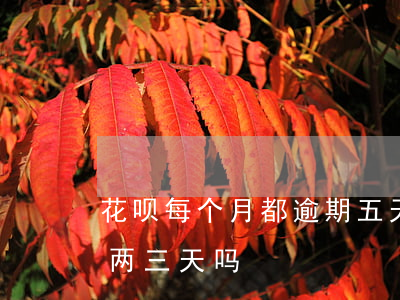 花呗每个月都逾期五天(支付宝花呗可以逾期两三天吗)