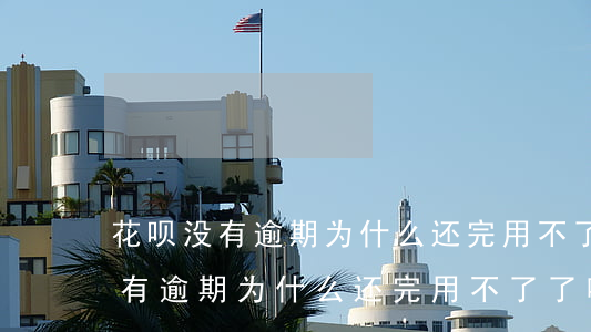 花呗没有逾期为什么还完用不了了-花呗没有逾期为什么还完用不了了呢