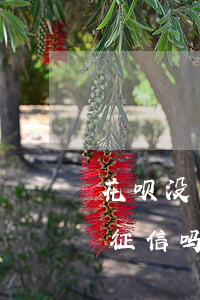 花呗没有逾期会上征信吗(花呗逾期多久会上征信吗?花呗逾期有什么后果)