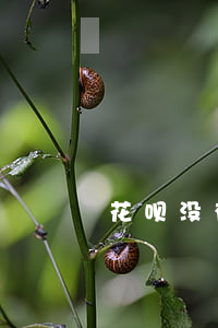 花呗没有逾期突然降额了(花呗突然降低额度)