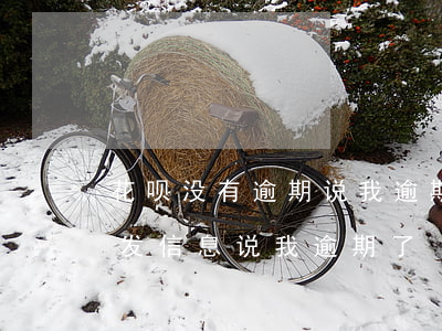 花呗没有逾期说我逾期了(没用过花呗为什么发信息说我逾期了)