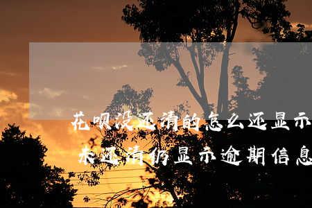 花呗没还清的怎么还显示逾期信息，为何花呗未还清仍显示逾期信息？解析原因与解决办法