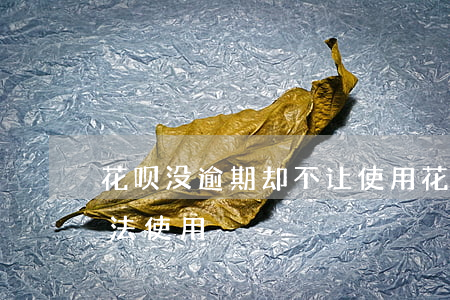花呗没逾期却不让使用(花呗没有逾期为何无法使用)
