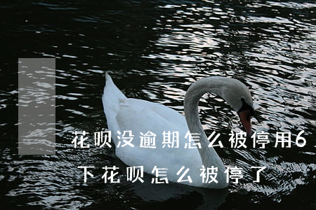 花呗没逾期怎么被停用6(在没有逾期的情况下,花呗怎么被停了)
