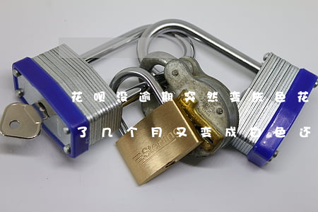 花呗没逾期突然变灰色(花呗逾期成灰色了过了几个月又变成白色还是不能用)