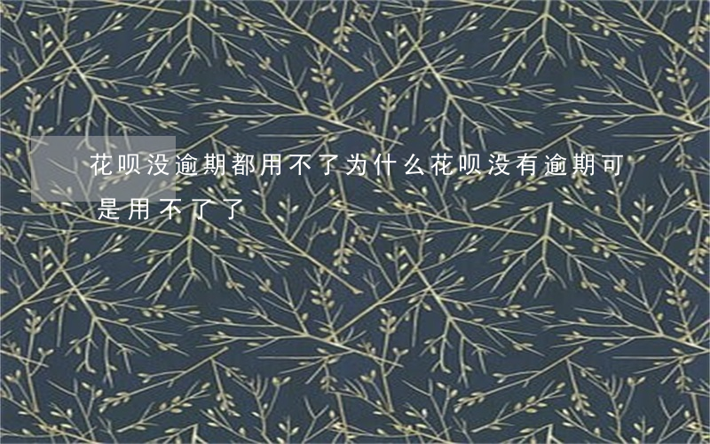 花呗没逾期都用不了(为什么花呗没有逾期,可是用不了了)