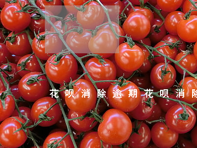 花呗 消除逾期(花呗 消除逾期)