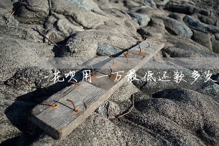 花呗用一万最低还款多久能还完-