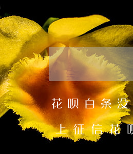 花呗白条没有逾期会上征信么(白条逾期多久上征信?花呗逾期几天上征信)