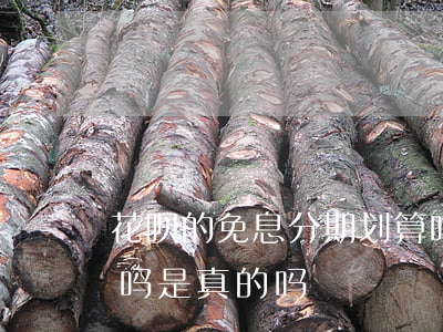 花呗的免息分期划算吗(花呗的免息分期划算吗是真的吗)