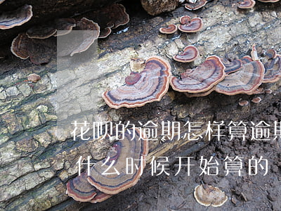 花呗的逾期怎样算逾期(花呗的逾期时间是从什么时候开始算的)