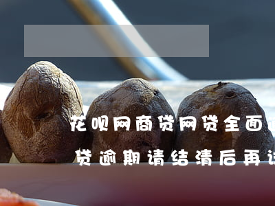 花呗网商贷网贷全面逾期(存在花呗借呗网商贷逾期 请结清后再试)