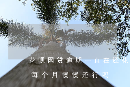 花呗网贷逾期一直在还(花呗借呗逾期还不上每个月慢慢还行吗)