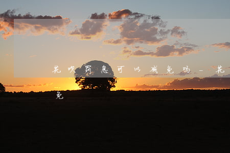 花呗罚息可以减免吗-花呗罚息怎么申请减免