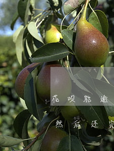 花呗能逾期到下个月还吗(花呗逾期了几个月然后还完了还能用吗)