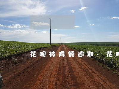 花呗被降额逾期-花呗降额影响征信吗