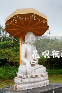花呗被骗已追回