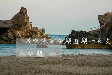 花呗账单分期逾期一天(支付宝花呗逾期账单分期)