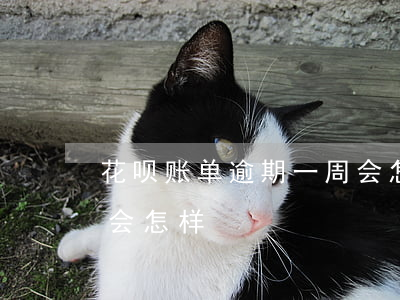 花呗账单逾期一周会怎样（花呗账单逾期一周会怎样）