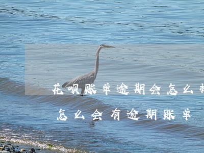 花呗账单逾期会怎么样(花呗上没有还款账单怎么会有逾期账单)